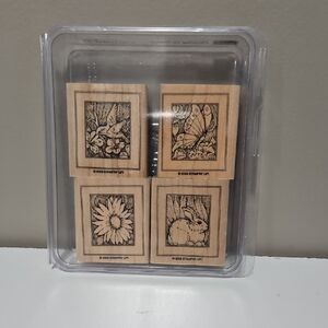 Drawing on Nature Stampin Up Rubber Stamp Set